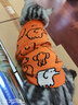 迪普尔 猫衣服狗狗衣服宠物猫咪衣服小型犬中型犬幼犬秋冬季新款服装 M号（建议体重5-8斤） 实拍图