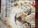 世界野生猫科动物（你一定要收藏的野生大猫家谱画册！“猫盟”翻译，探寻野生猫科动物种群之间的关联，漫谈它们的家族秘史和趣闻，体验有温度、有意思的科学研究！） 实拍图