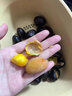 广东凤眼果新鲜水果 富贵子九层皮果六旺果萍苹婆果七姐果纯黑果 速冻去皮凤眼果袋装 1斤【去壳发货-黄果仁】 实拍图