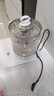 新飞多功能养生壶迷你办公室花茶壶玻璃烧水壶保温电热水壶煮茶烧水一体大容量煎药壶黑茶煮茶器煮水壶 经典款+滤网 1.8L 实拍图
