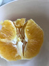 新奇士（Sunkist）橙子美国3107进口黑标橙子当季脐橙大果礼盒装 礼盒装 3000g【单果200g+】 实拍图