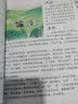 总有一天会长大（夏洛书屋 经典版) 暑期阅读 课外推荐 实拍图