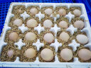 宛味宝散养谷物鲜鸡蛋 农场直供 单枚40±5g 20枚装 晒单实拍图