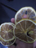 优质柠檬片精选柠檬片不加糖柠檬片泡水喝饮品柠檬干烘干柠檬片非冻干柠檬片非蜂蜜水果茶 袋装柠檬片500克（中间片） 实拍图
