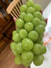 果贤达晴王阳光玫瑰葡萄日本引进品种当季新鲜无核无籽香印葡萄水果 5斤 【礼盒装】 实拍图