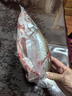 品鲜肴淡水鱼生态翘嘴鱼白鱼/翘嘴鲌大白刁鱼自然捕获鲜活现杀生鲜水产 750g /条（宰杀后三去净重600g） 实拍图