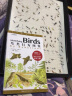 鸟类行为图鉴 中国国家地理鸟类百科全书野外手册 鸟类形态图鉴动物百科观鸟者实用宝典 实拍图