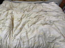 罗莱家纺纯棉床上四件套80支匹马棉 轻奢床单被套双人套件 200*230 实拍图