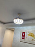 飞稳吊扇灯带蓝牙音响轻奢水晶隐形风扇灯餐厅卧室客厅带电风扇吊灯 带蓝牙音响_42寸变频_遥控/APP 实拍图