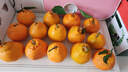生活＆好管家 四川春见耙耙柑爆浆大果新鲜水果礼盒应季橘子现摘柑橘子桔子 净重4.5斤【超划算】 果径85-90mm【特大果】 实拍图