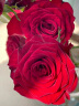 斗南基地直批发玫瑰鲜花全国速递配送女友生日礼物家用水养插花 40支随机玫瑰（1-2色） 晒单实拍图