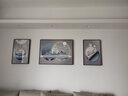 Sixpoetry 客厅装饰画现代简约沙发背景墙壁画轻奢三联晶瓷画大气高档挂画 羽到生财（铝合金外框） 晶瓷画左右40*60+中间80*60亮面 实拍图