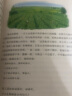 文学名家作品精选套装（全10册）儿童文学经典作品选 冰心+叶圣陶+汪曾琪+鲁迅+朱自清+萧红+老舍+赵丽宏+宗璞 经典作品  实拍图