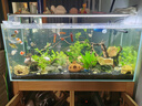 sobo松宝过滤桶鱼缸过滤器外置滤桶缸外过滤系统水族箱吸鱼屎净水器 SF-1200F +【豪华滤材套餐】60%鱼友优选 过滤桶无杀菌灯 实拍图