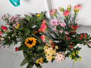 悦多彩优质水养鲜切花 母亲节三八节花束 昆明基地现采直发顺丰生活鲜花 百合2头5支+混色小菊5支 实拍图