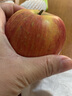 京鲜生陕西洛川苹果红富士12枚礼盒装75-80mm单果170g+源头直发新鲜水果 实拍图