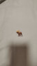 ABERCROMBIE & FITCH男装女装套装 24春夏新款3件装小麋鹿纯色短袖T恤 358480-1 多种颜色 XL (180/116A) 晒单实拍图