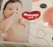 好奇（Huggies）铂金装纸尿裤NB84片(5kg以下)新生儿小号婴儿尿不湿小桃裤超薄 实拍图