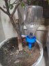 芷郁 自动浇花器（8只装） 滴水器渗水器家用自动浇花器定时可调节流速滴灌懒人种菜浇水神器 实拍图