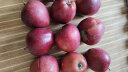 京鲜生 甘肃天水花牛苹果 8.5斤装单果150-200g 生鲜水果 源头直发 包邮 实拍图