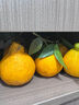 生活＆好管家 四川春见耙耙柑新鲜水果应季橘子现摘孕妇水果整箱桔子橘子 优选级市场果 4.5-5斤【单果70-75mm】净重4.5斤 实拍图