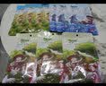 陪伴岁月猫条猫咪零食营养小猫幼猫成猫宠物鲜湿粮包流质猫条 鲣鱼五支（袋散装随机） 实拍图