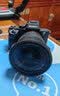 索尼/Sony A7 A7R2 A7R4 A7M2  A7M4 A7C全画幅二手微单 4K直播相机 索尼A7R2【A7RII单机身】 【99新】 实拍图