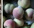 鸢语青州蜜桃2.25kg 小冬桃 新鲜脆甜 应季水果毛桃 产地直发 实拍图