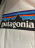 巴塔哥尼亚（Patagonia）男女情侣通勤短袖夏季P-6 Logo混纺棉休闲潮流户外透气T恤 38504 WHI（实物白里透蓝） L 实拍图