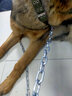 万牵双头狗链子中大型犬小型犬狗铁链项圈牵引绳防咬狗绳子栓狗链子遛狗绳 4.0mm粗（40-80斤）大型犬 2米 实拍图