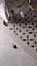 憨憨乐园宠物猫玩具小猫藤球幼猫逗猫棒猫咪互动球尾巴逗猫绳逗猫杆玩具 实拍图