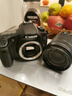 佳能70D 60D 90d家用旅游数码入门级二手单反相机80D套机18-135防抖摄影 99新佳能60D含18-55 STM 官方标配 实拍图
