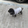 ISPET狗狗衣服小型犬秋冬装泰迪比熊衣服2024新款宠物衣服小香风外套 紫色 L （推荐8-10斤） 晒单实拍图