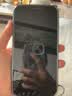 闪魔 苹果12钢化膜 iPhone12Promax手机膜无边高清抗蓝光防摔保护膜磨砂抗指纹防窥膜 苹果12Promax【防窥膜】1片装+神器 实拍图