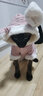 华元宠具（hoopet）猫咪衣服幼猫可爱四脚装冬季冬天保暖布偶猫无毛猫衣服宠物防掉毛 粉色兔耳朵四脚装-带绒款 M-(建议5-8斤) 实拍图