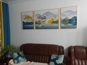 瑞尚（RUISHANG） 轻奢客厅装饰画大气抽象沙发背景墙挂画现代简约别墅三联画 金山富水 40*60+中80*60晶瓷面金框 实拍图