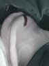 百鹊亭毛衣男2024秋冬季潮牌日系宽松针织衫男青少年时尚百搭款加厚衣服 白色 XL 实拍图