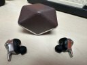 HIFIMAN（海菲曼）Svanar Wireless LE天鹅真无线 主动降噪蓝牙耳机 入耳式无线耳机 HIFI音质 蓝牙5.2  实拍图