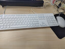 戴尔（DELL） 有线键盘鼠标套装 办公键鼠 笔记本台式电脑键鼠 USB接口 KB216静音键盘+MS116鼠标 白色 实拍图