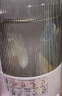 大宇（DAEWOO）破壁机家用升级降音罩小型迷你豆浆机全自动榨汁机婴儿辅食水果豆浆多功能免洗免滤细破壁免泡1.2L 紫色 晒单实拍图