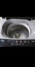 美的（Midea）波轮洗衣机全自动家用大容量8公斤 9小时预约 家用租房宿舍神器 MB80V33B 洗衣机小型 以旧换新 金榜第一8KG 实拍图