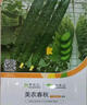 蔬菜种子大全黄瓜菠菜小白菜花卉四季蔬菜简单种植菜园阳台种植 美农春秋黄瓜种子50粒 实拍图