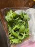 绿食者 新鲜冰菜250g 冰草 西餐酒店凉拌生吃沙拉蔬菜 全店满5件顺丰 250g 实拍图