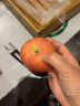 果宝沺陕西红星苹果粉面沙甜苹果新鲜水果粉沙苹果婴儿老人刮泥吃非花牛 5斤中果11-12个 实拍图