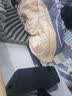 秋叶原（CHOSEAL） 车载AUX音频线 四节3.5mm连接镀银铜石墨烯屏蔽 麦克风手机耳机音响箱 四芯转换线 1.5米 QS3561 实拍图