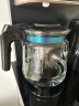 天喜（TIANXI）玻璃茶壶加厚耐热大容量茶吧机水壶玻璃内胆过滤泡茶壶1500ml 晒单实拍图
