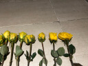 钟爱（love）云南昆明鲜花基地直发玫瑰家庭插花花束直批鲜花 黄玫瑰20枝 实拍图