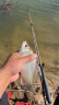 光威（GW）竹山三代碳素鱼竿钓台钓竿超轻硬手竿渔具钓鱼用品 3.6米 实拍图
