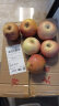 山东烟台红富士苹果新鲜水果 富士苹果应当季脆甜水果 75mm(含)-80mm(不含) 中大果 9斤（净重8.5） 晒单实拍图