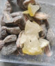 金顺昌桂花金桔罗汉果味片桂花柚子皮果脯蜜饯桂林特产果干休闲零食 蜂蜜柚子皮200g 实拍图